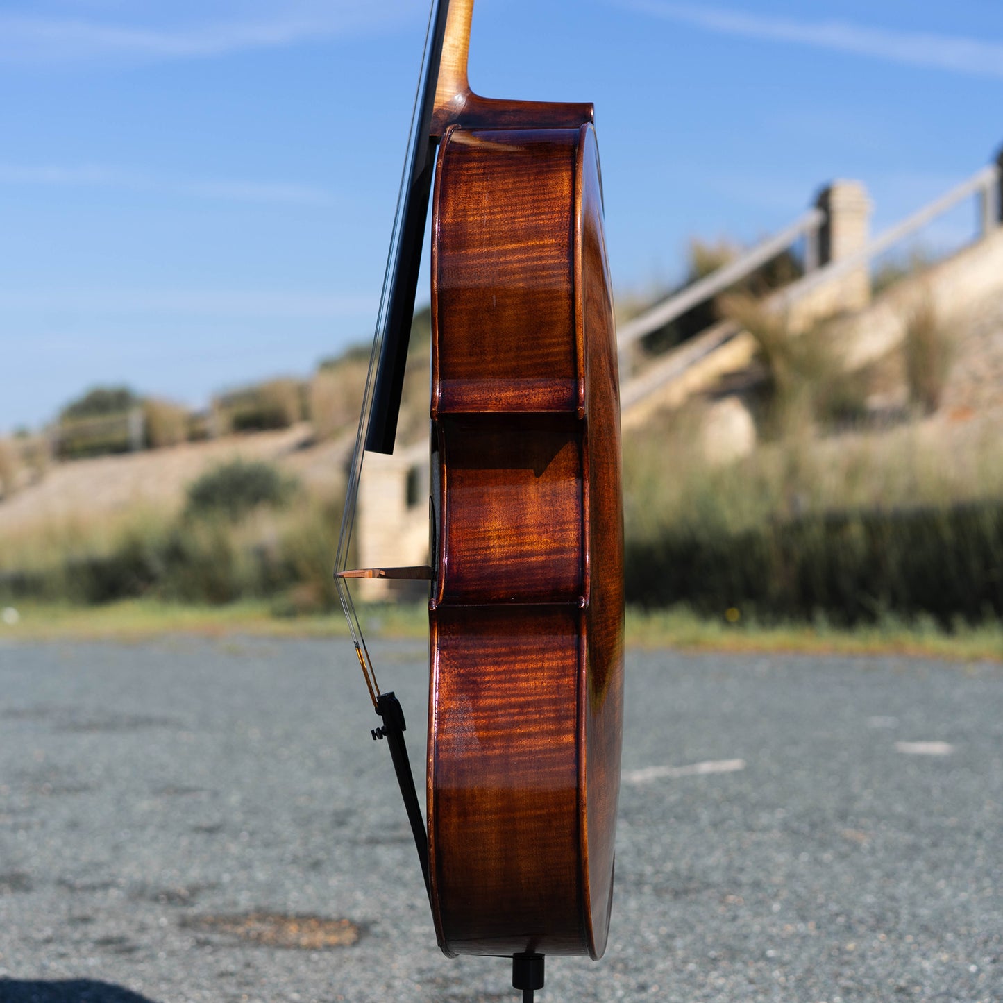 Violonchelo Montagnana / disponible
