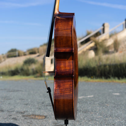 Violonchelo Montagnana / disponible