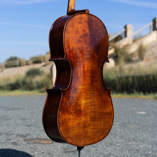Violonchelo Montagnana / disponible
