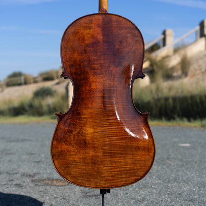 Violonchelo Montagnana / disponible