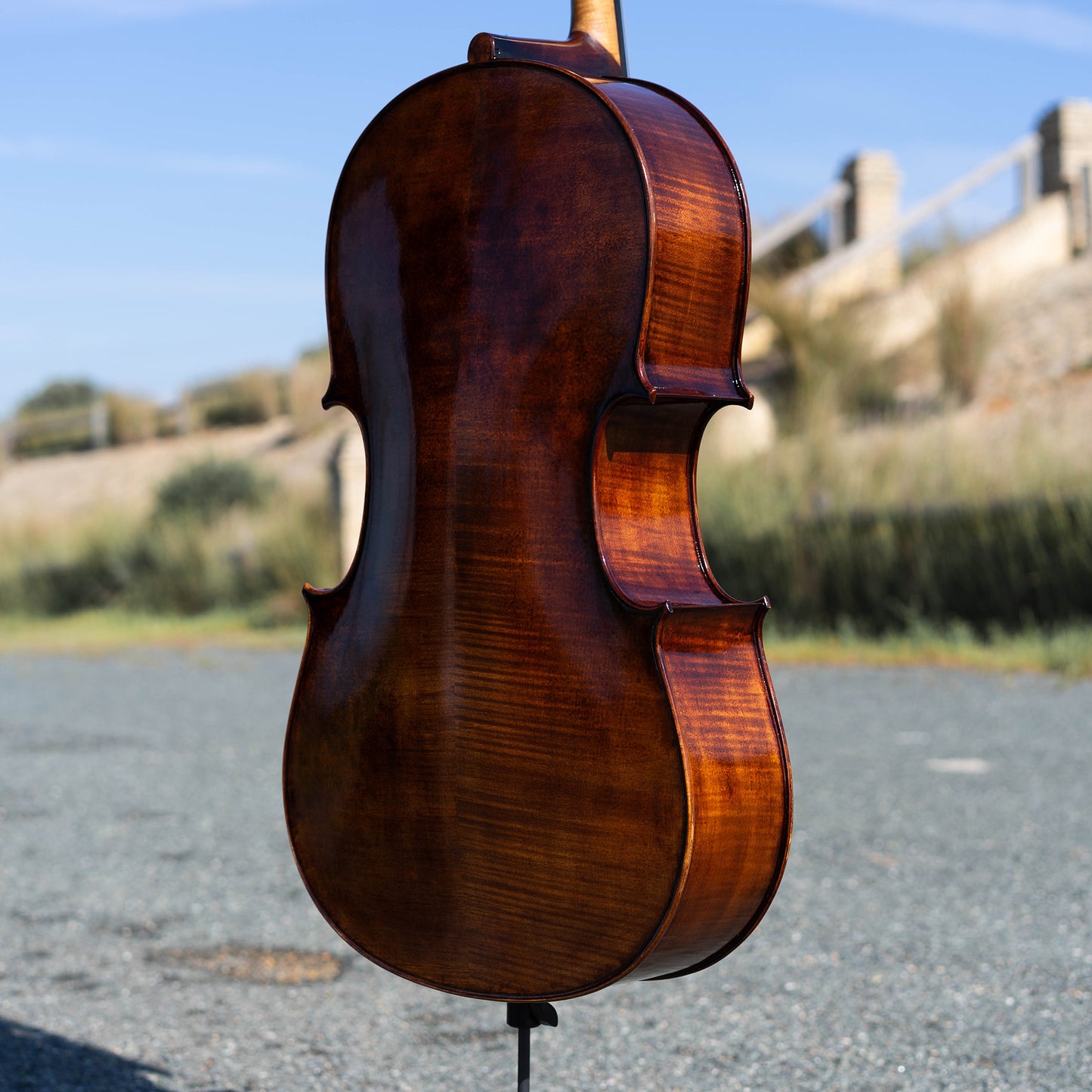 Violonchelo Montagnana / disponible