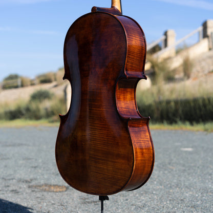 Violonchelo Montagnana / disponible