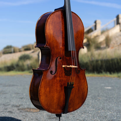 Violonchelo Montagnana / disponible