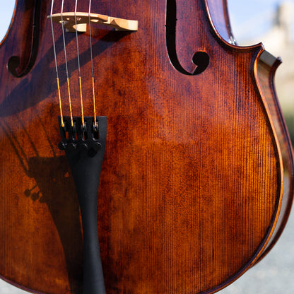 Violonchelo Montagnana / disponible