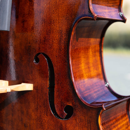 Violonchelo Montagnana / disponible