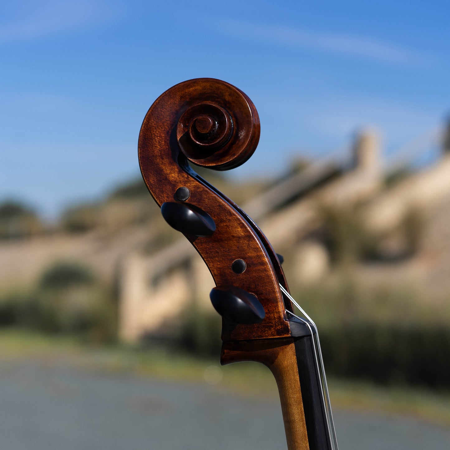 Violonchelo Montagnana / disponible