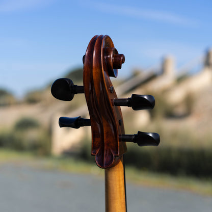 Violonchelo Montagnana / disponible