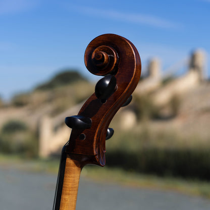Violonchelo Montagnana / disponible