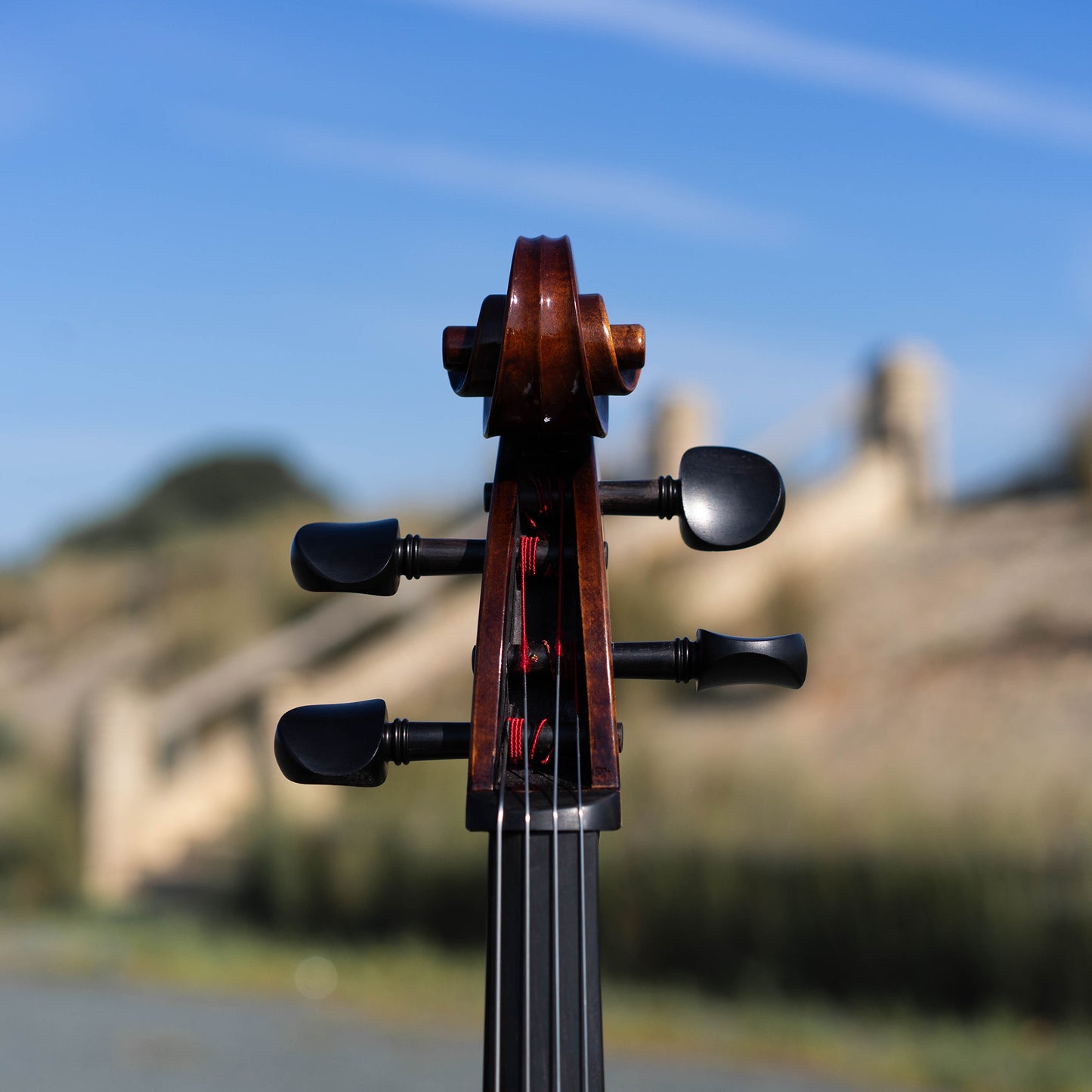 Violonchelo Montagnana / disponible