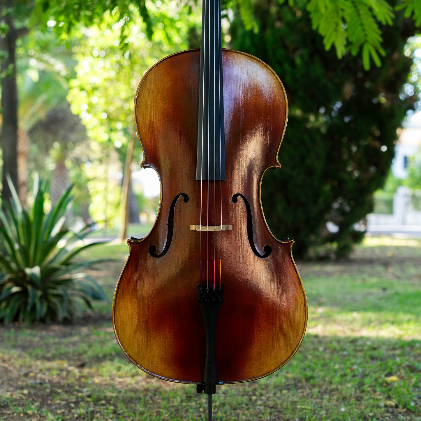 Violonchelo Strad / VENDIDO