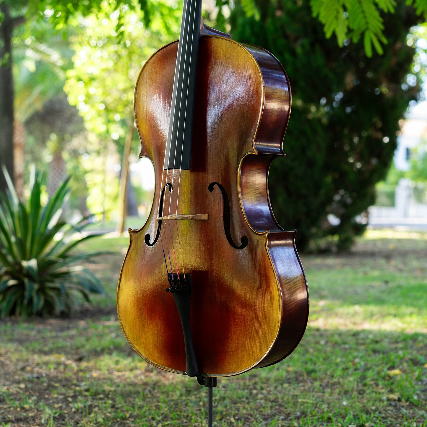 Violonchelo Strad / VENDIDO