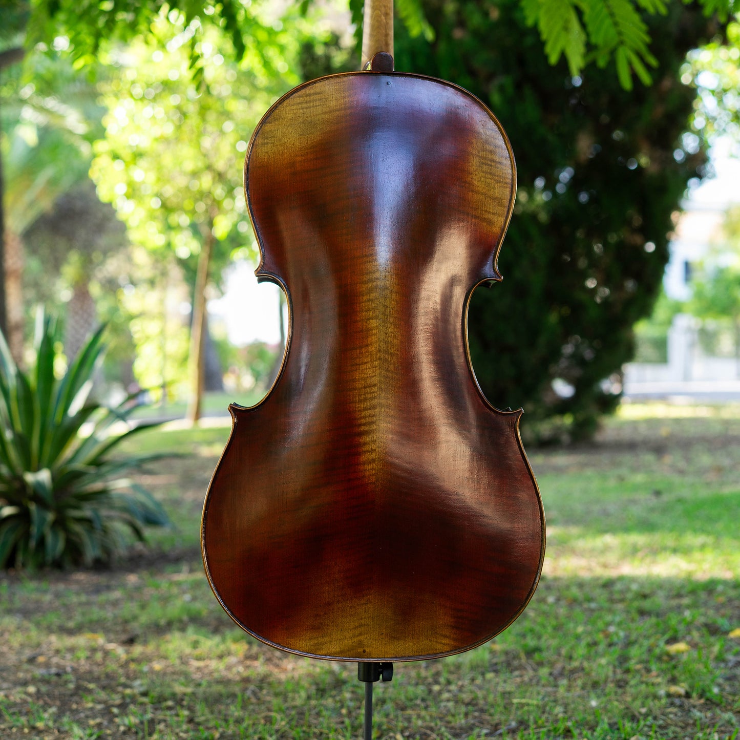Violonchelo Strad / VENDIDO