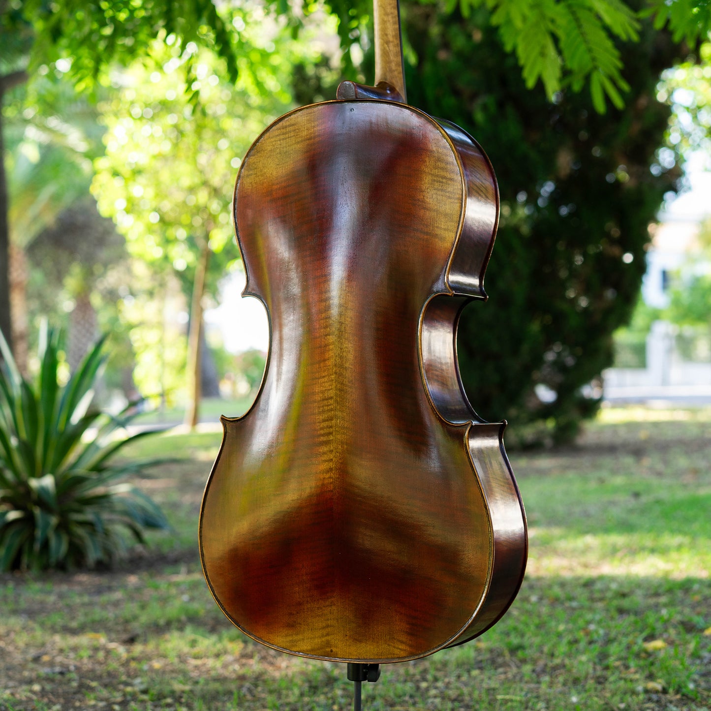 Violonchelo Strad / VENDIDO