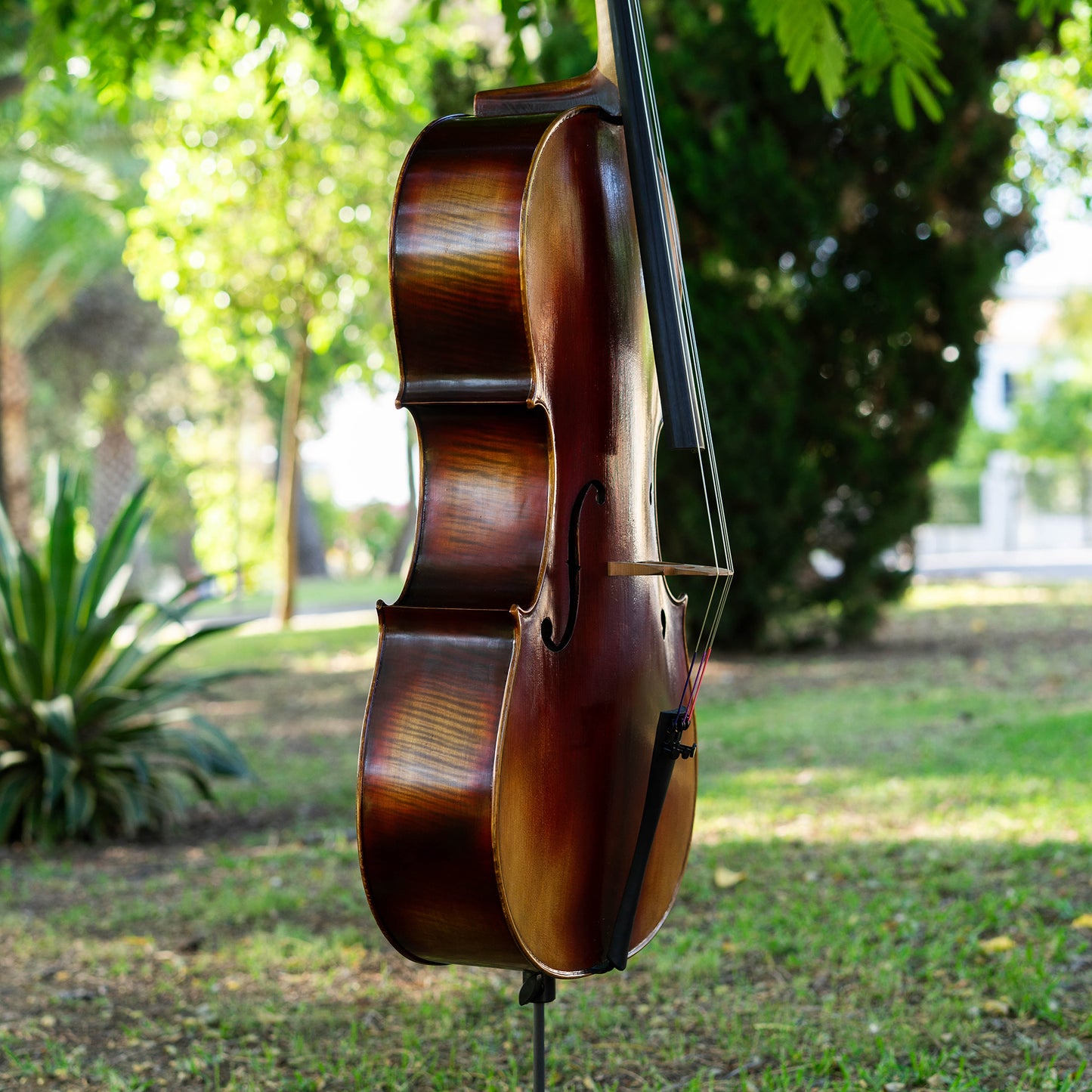 Violonchelo Strad / VENDIDO