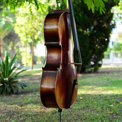 Violonchelo Strad / VENDIDO