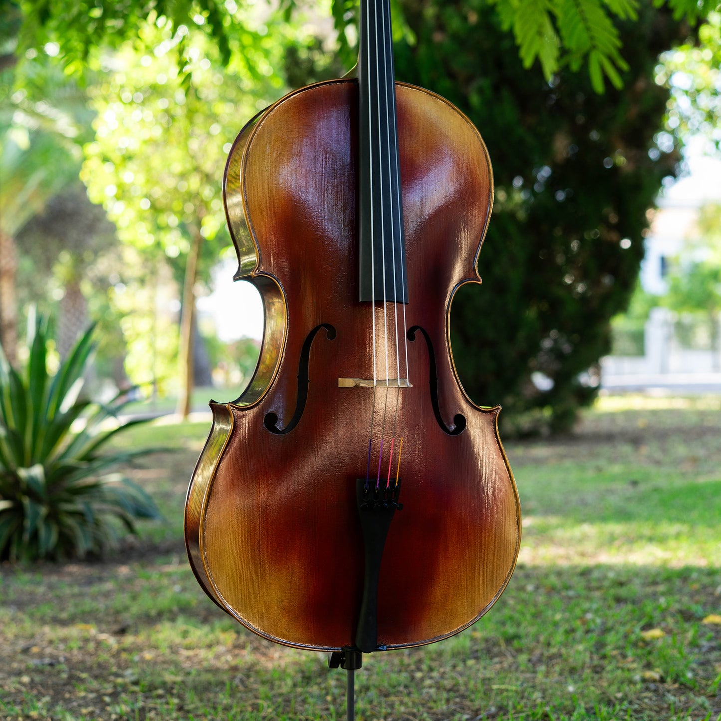 Violonchelo Strad / VENDIDO