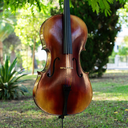 Violonchelo Strad / VENDIDO