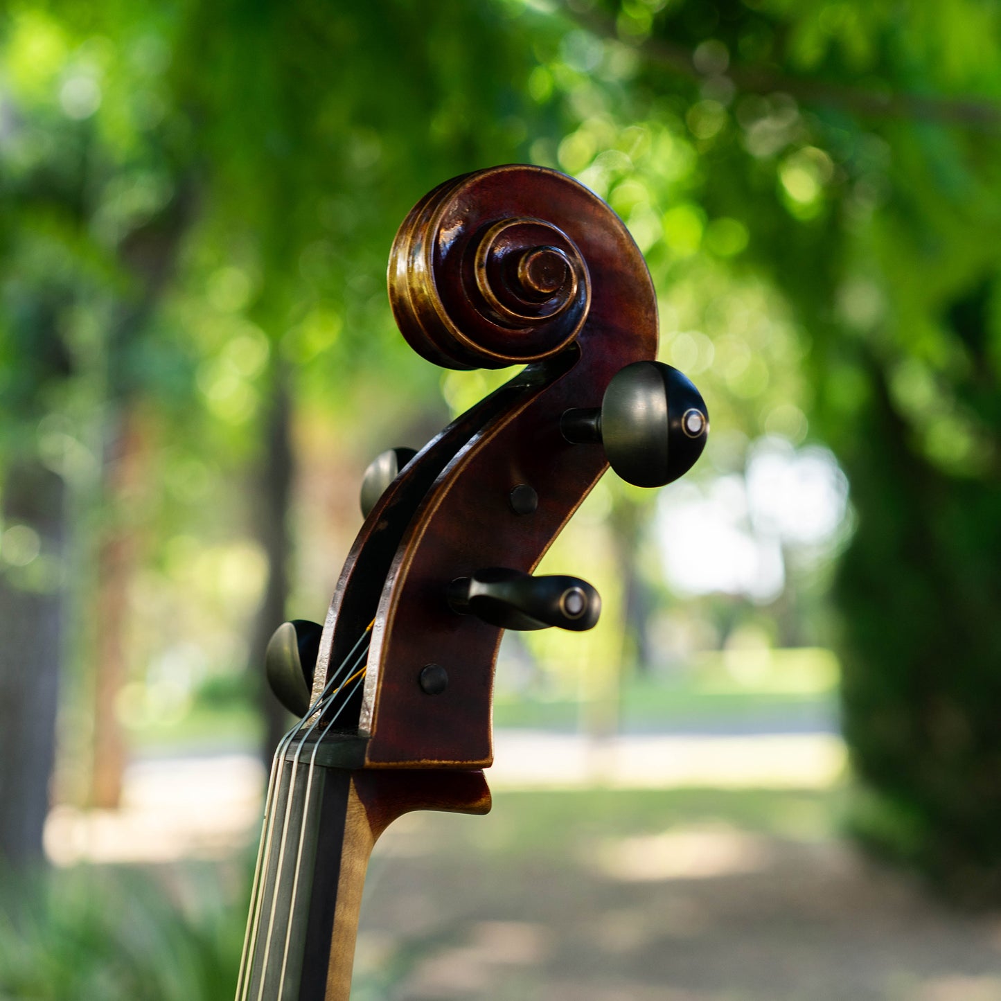 Violonchelo Strad / VENDIDO