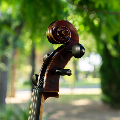 Violonchelo Strad / VENDIDO