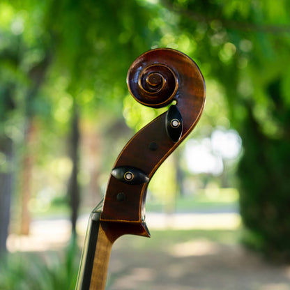 Violonchelo Strad / VENDIDO