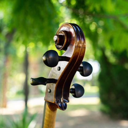 Violonchelo Strad / VENDIDO