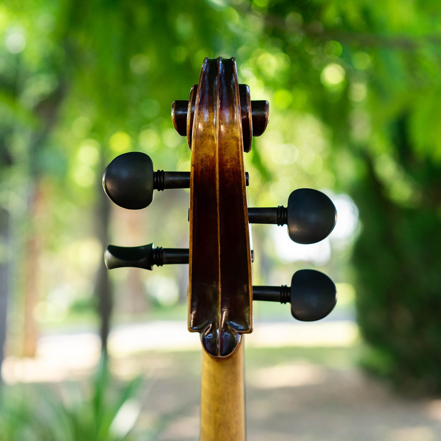 Violonchelo Strad / VENDIDO