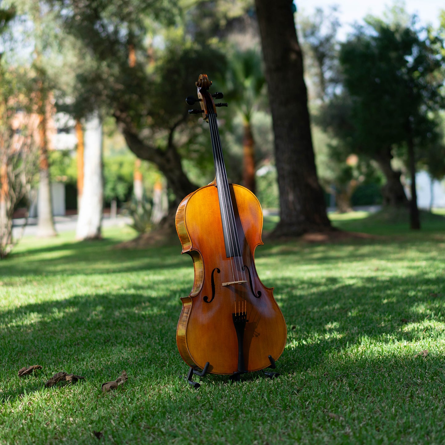 Violonchelo Mod. Stradivari / disponible