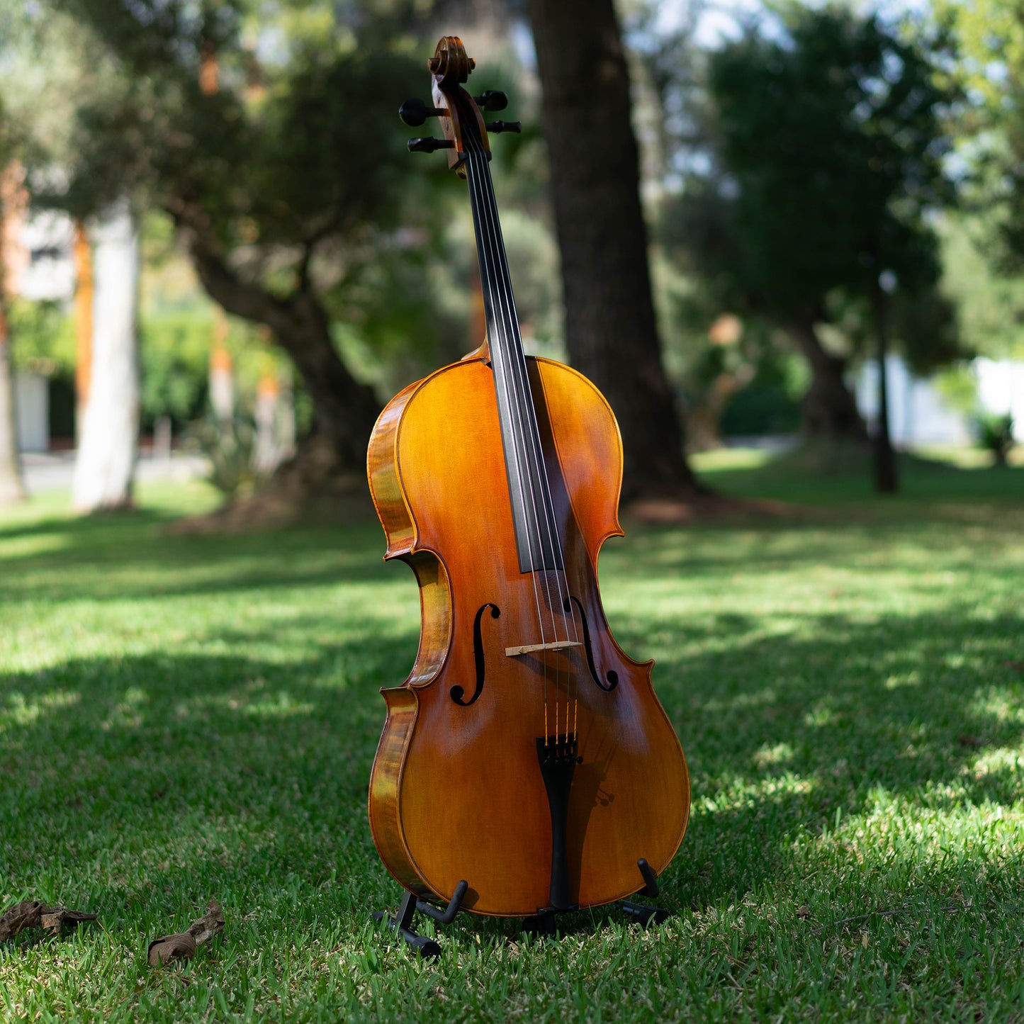 Violonchelo Mod. Stradivari / disponible