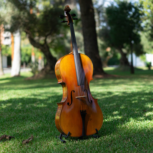 Violonchelo Mod. Stradivari / disponible