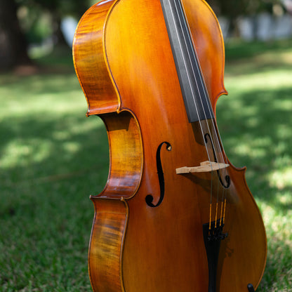 Violonchelo Mod. Stradivari / disponible