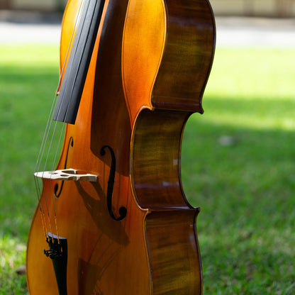 Violonchelo Mod. Stradivari / disponible