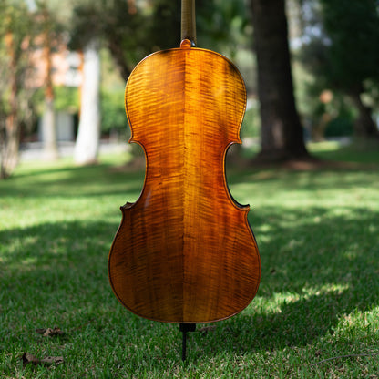 Violonchelo Mod. Stradivari / disponible