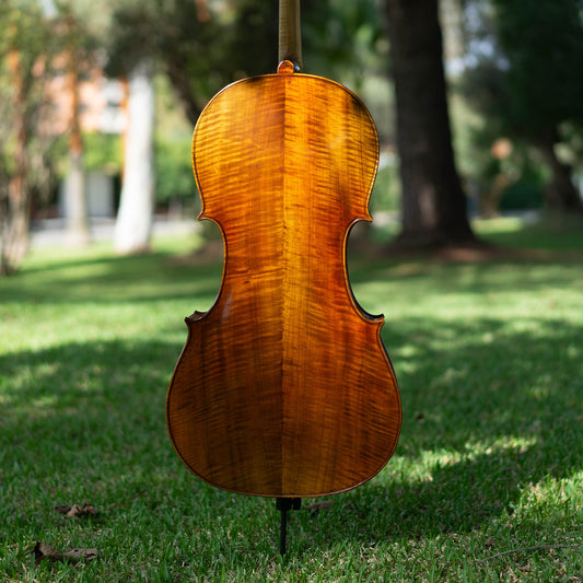 Violonchelo Mod. Stradivari / disponible