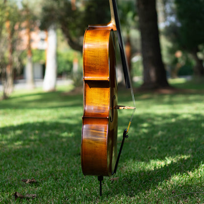 Violonchelo Mod. Stradivari / disponible