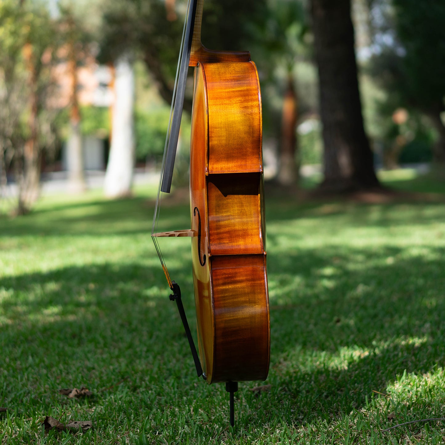 Violonchelo Mod. Stradivari / disponible