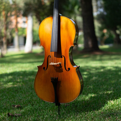 Violonchelo Mod. Stradivari / disponible