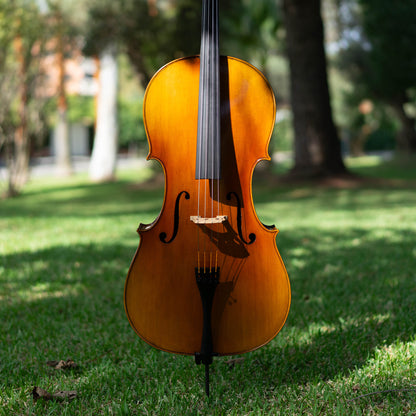 Violonchelo Mod. Stradivari / disponible
