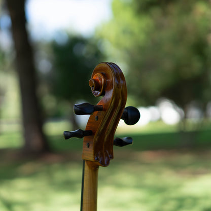 Violonchelo Mod. Stradivari / disponible
