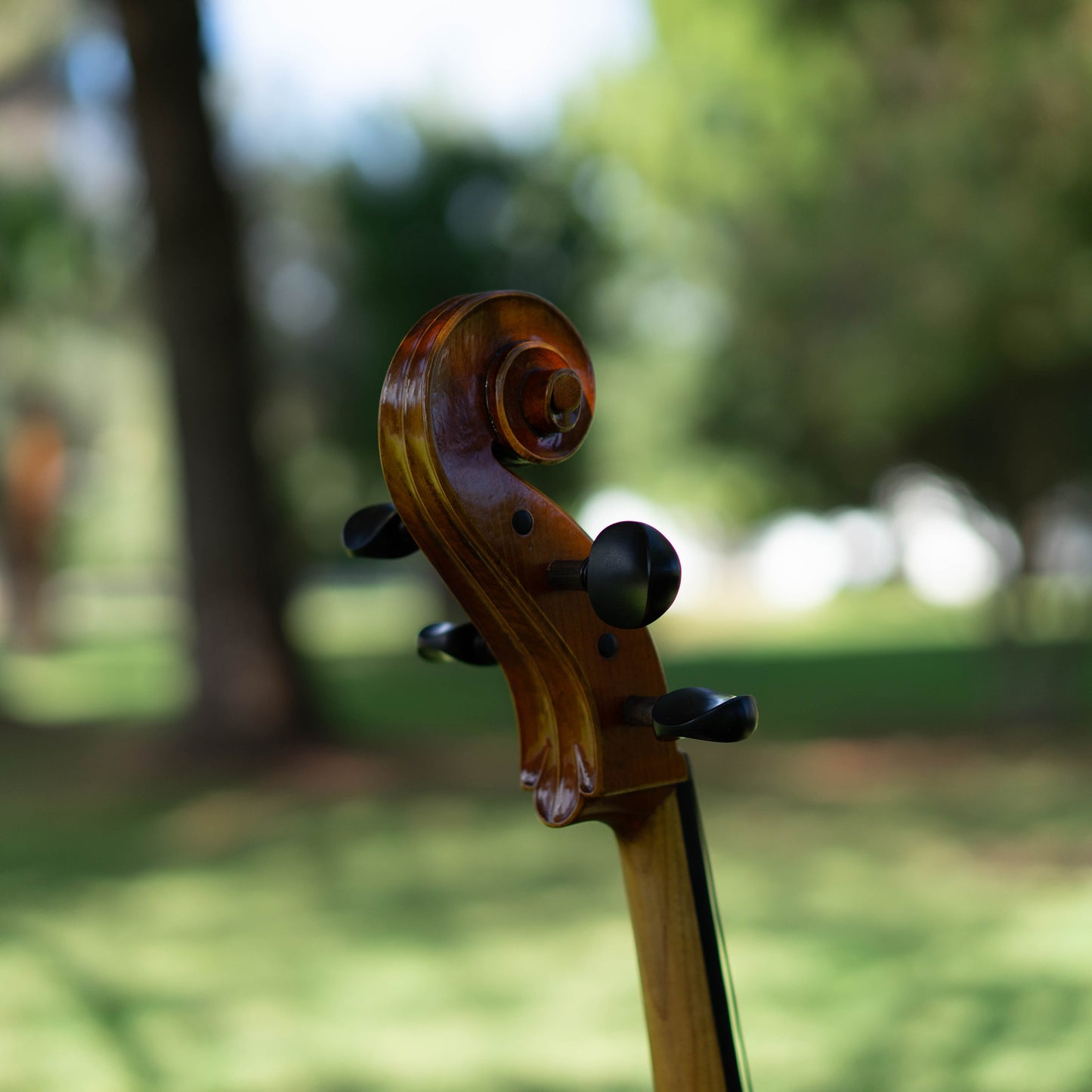 Violonchelo Mod. Stradivari / disponible