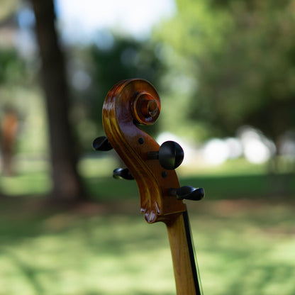 Violonchelo Mod. Stradivari / disponible
