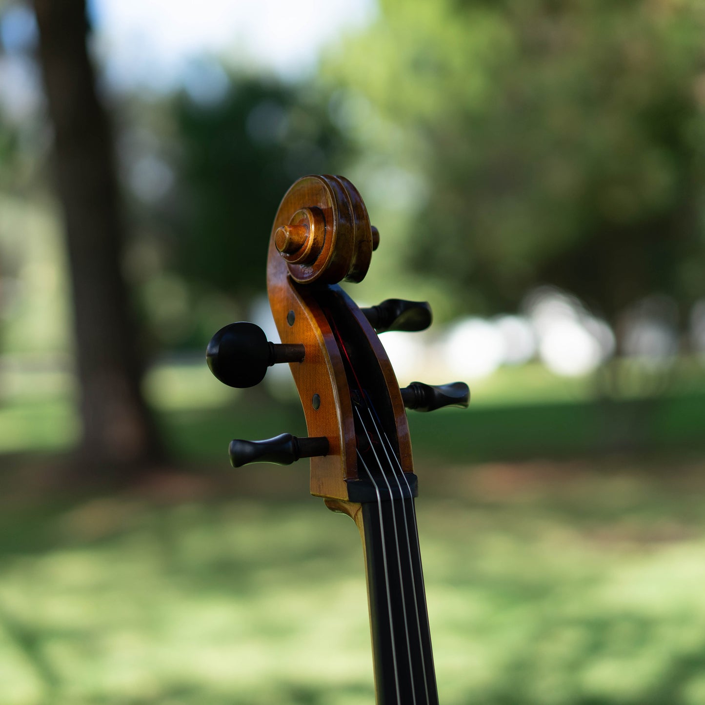 Violonchelo Mod. Stradivari / disponible