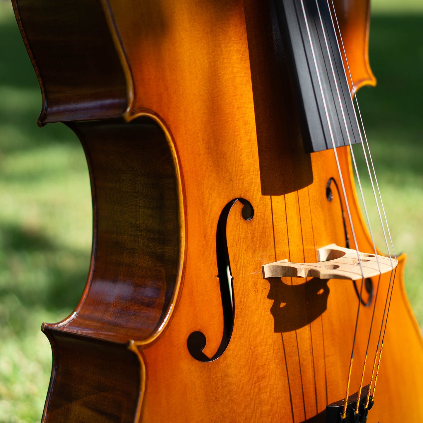 Violonchelo Mod. Stradivari / disponible