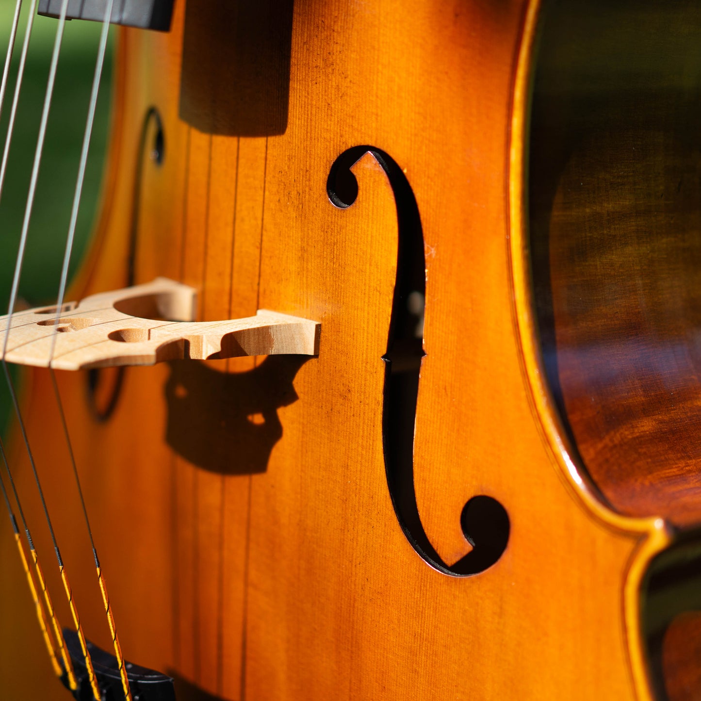 Violonchelo Mod. Stradivari / disponible