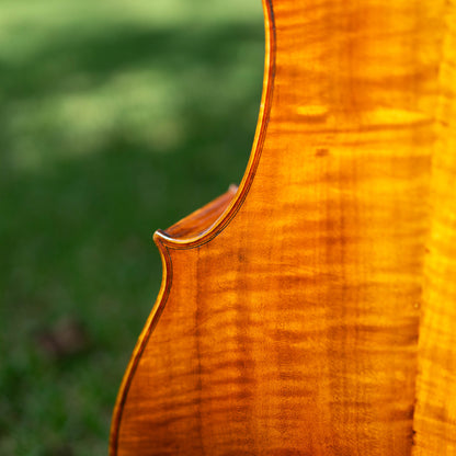 Violonchelo Mod. Stradivari / disponible