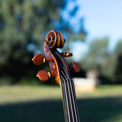Violín Mod. Stradivari Palatino / disponible