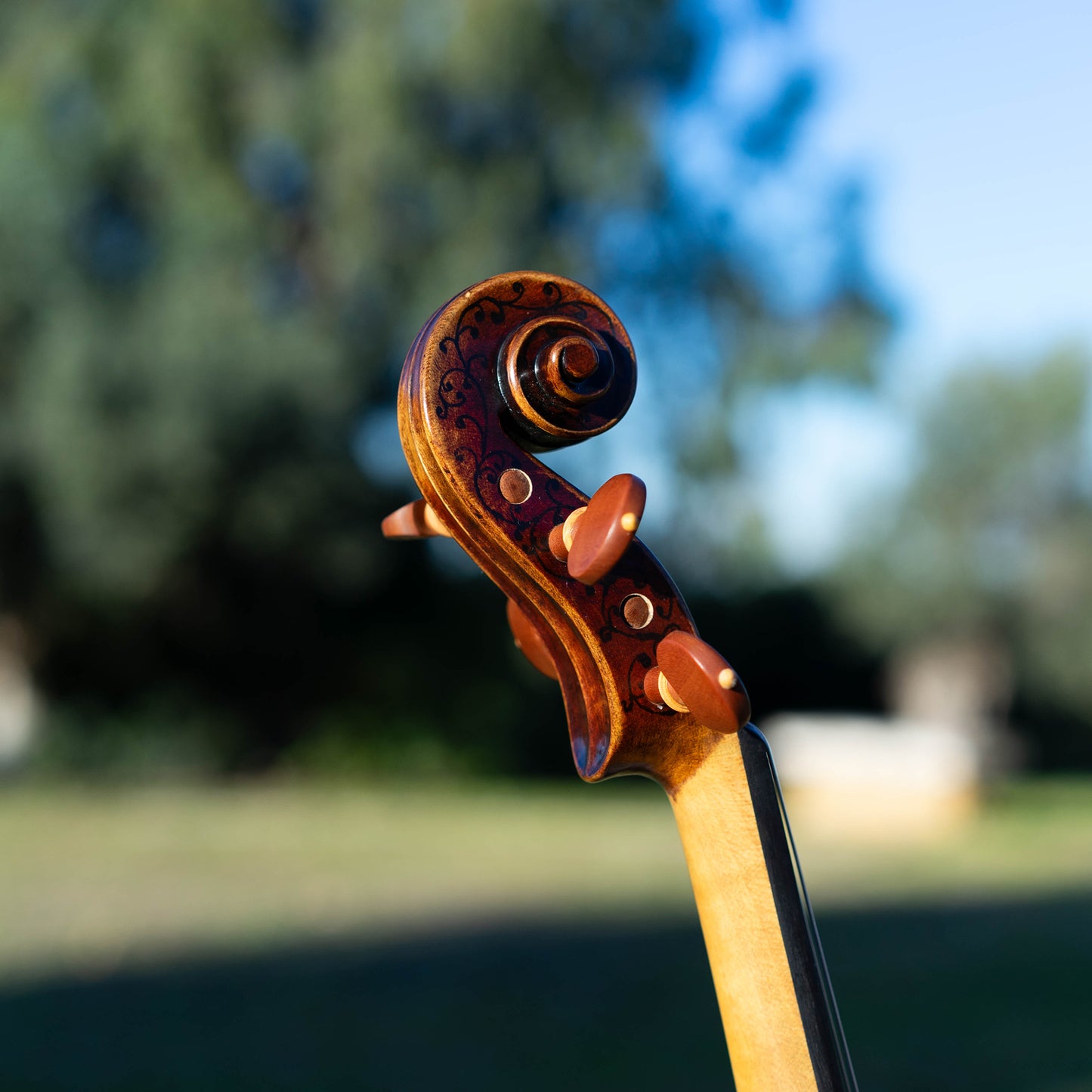 Violín Mod. Stradivari Palatino / disponible