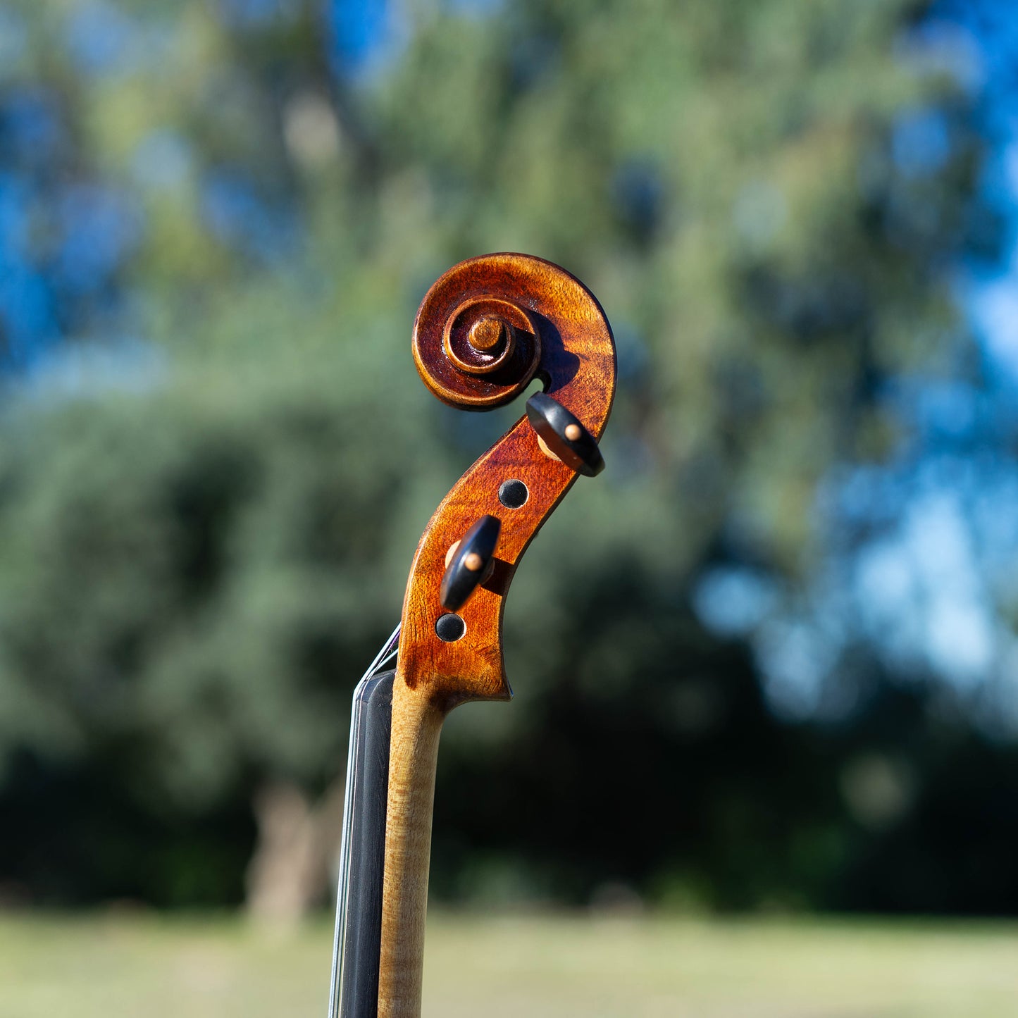 Cremonese Stradivarius Model Violin / available