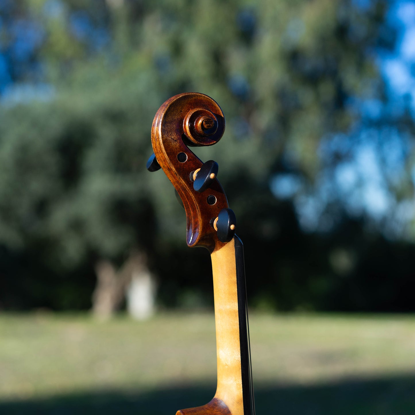 Cremonese Stradivarius Model Violin / available