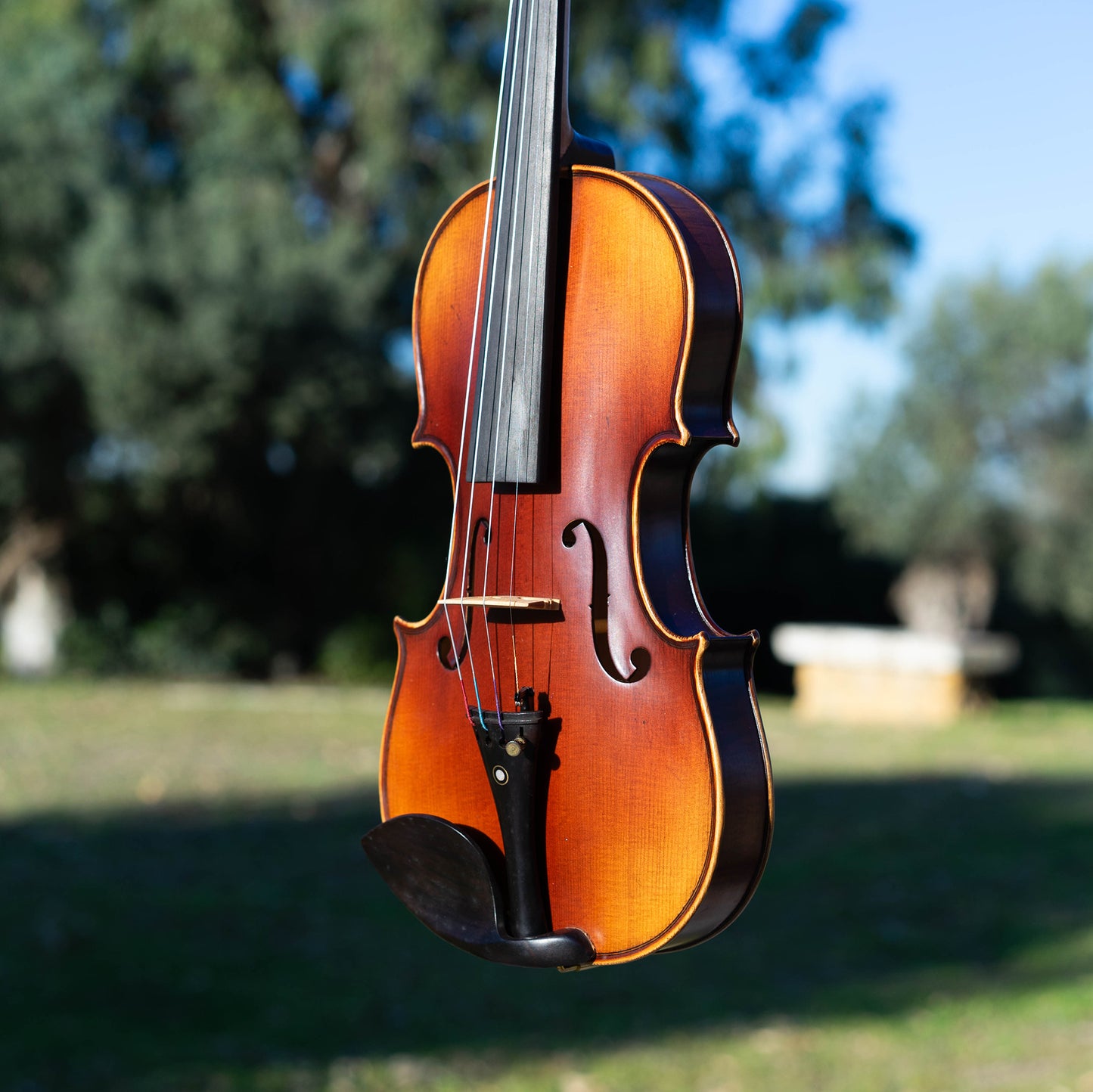Violín de iniciación