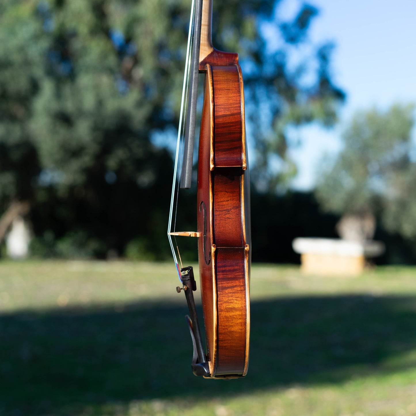 Violín de iniciación